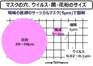 マスクの穴、ウイルス・菌・花粉のサイズ