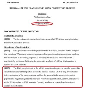 REMOVAL OF DNA FRAGMENTS IN MRNA PRODUCTION PROCESS